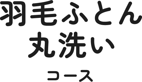 羽毛ふとん丸洗いコース