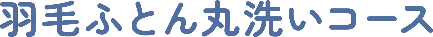 羽毛ふとん丸洗いコース