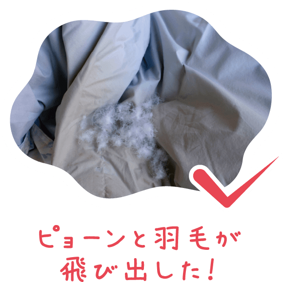 ピョーンと羽毛が飛び出した！
